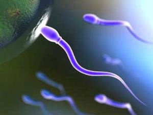 درمان ناباروری در مردان، وقتی هیچ اسپرمی ندارند!
