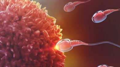 قدرت باروری