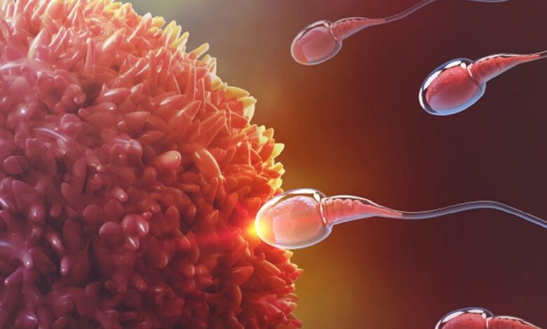 قدرت باروری